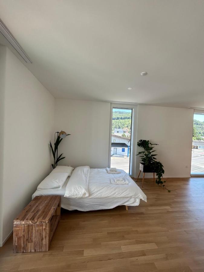 Balsthal The R Apartment Passwang, Klima, Neu, Balkon, Parking מראה חיצוני תמונה