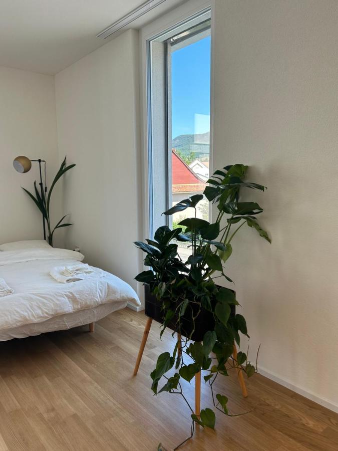 Balsthal The R Apartment Passwang, Klima, Neu, Balkon, Parking מראה חיצוני תמונה