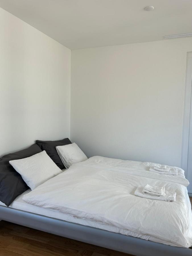 Balsthal The R Apartment Passwang, Klima, Neu, Balkon, Parking מראה חיצוני תמונה